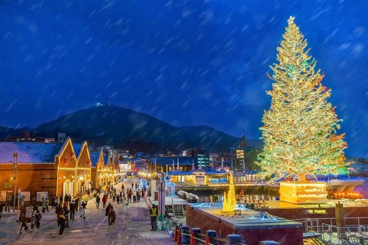 Christmas in Hokkaido