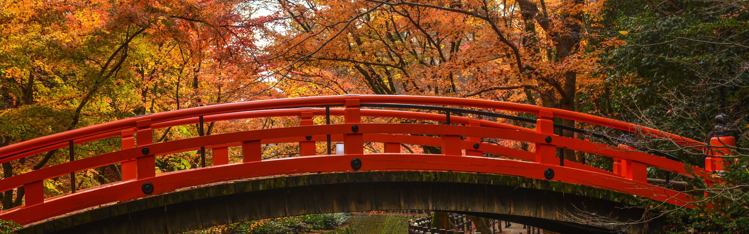 Tokyo Weather in November