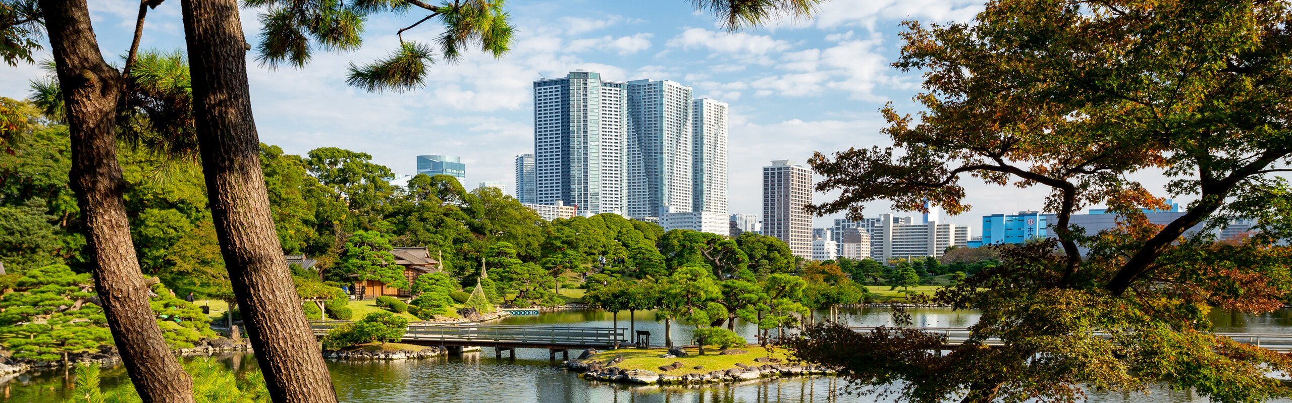Where to Stay in Tokyo Japan: 8 Best Places with Hotels