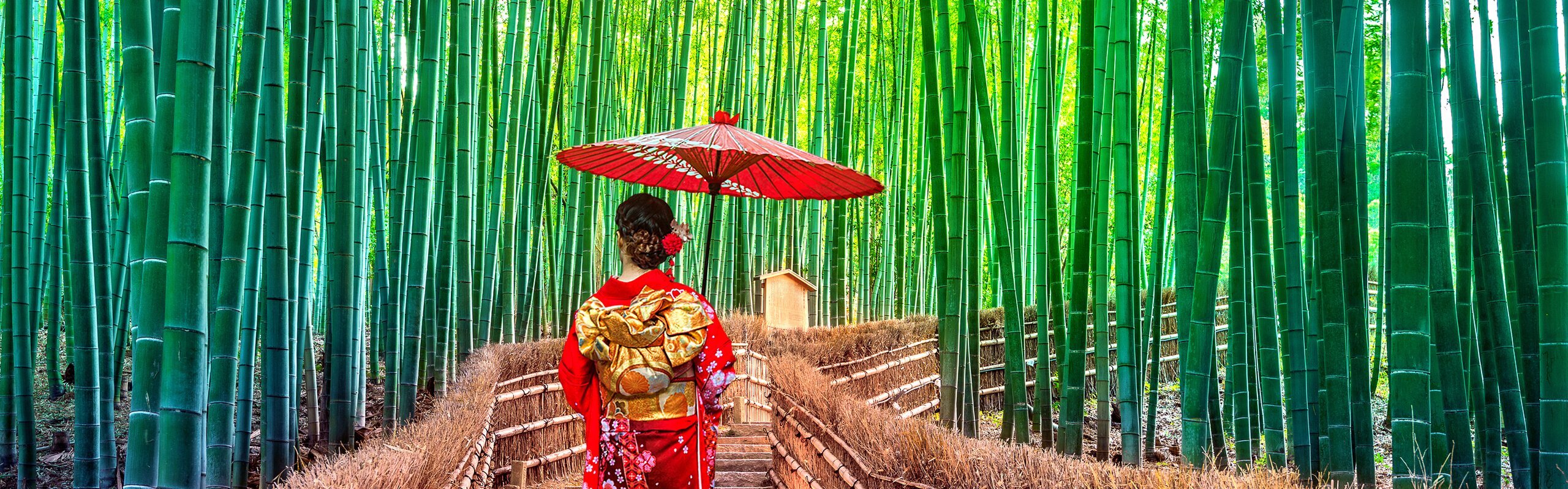 Kyoto Weather in September: Will Typhoons Affect Travel?