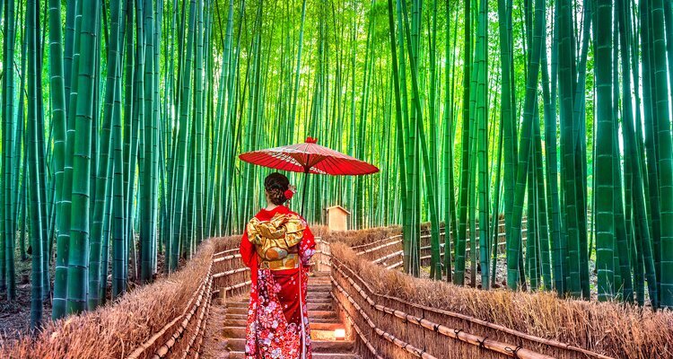 Bamboo Grove in Arashiyama