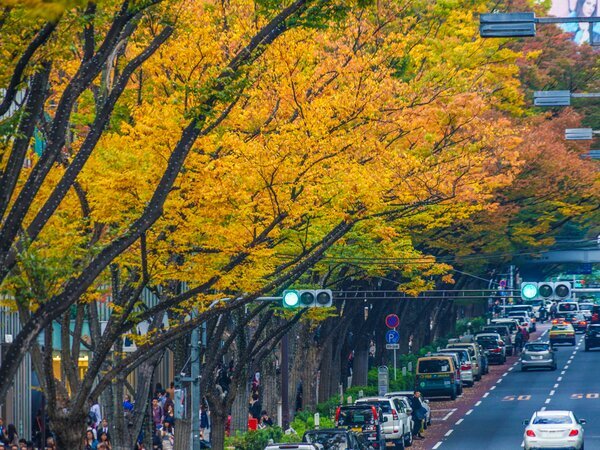 Street in Omotesando
