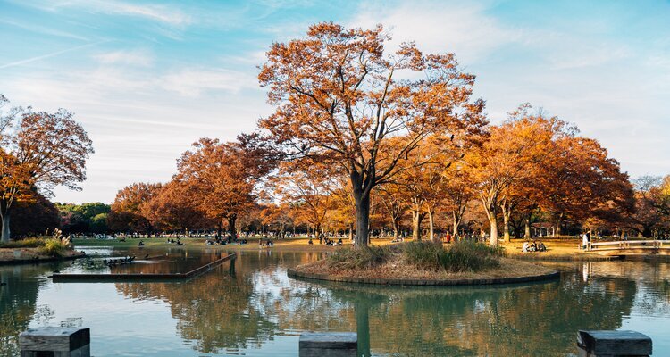 Yoyogi Park