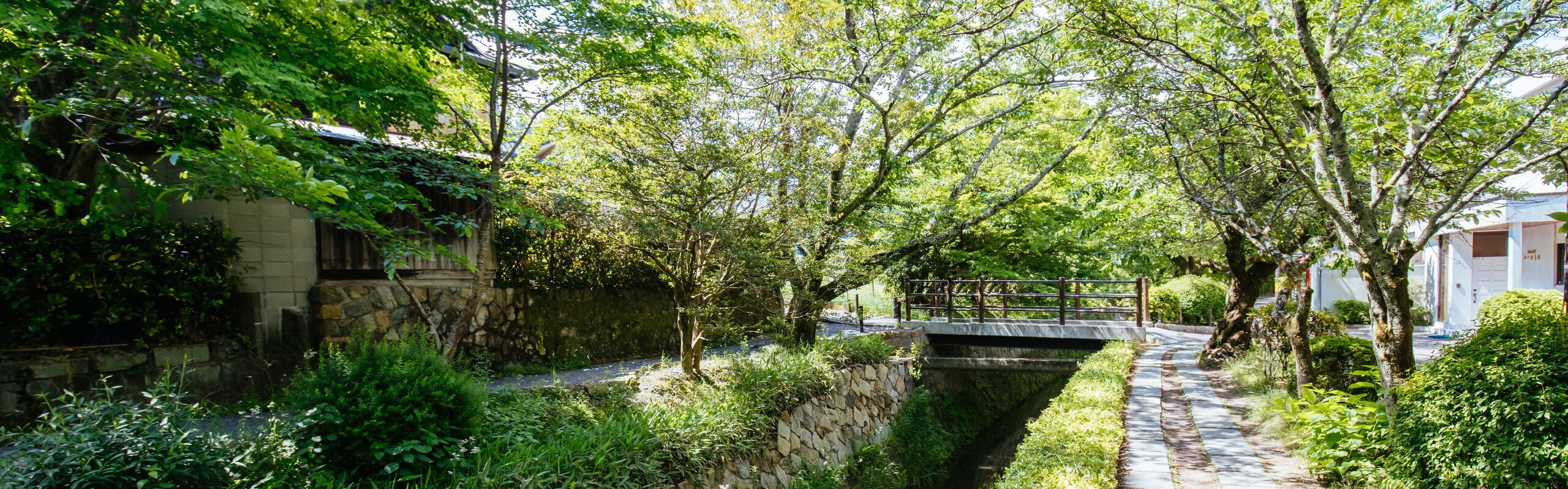 Kyoto’s Weather  in June
