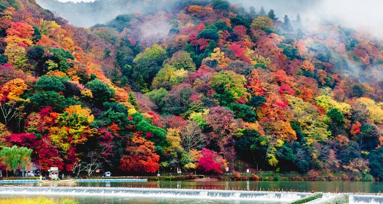 Arashiyama