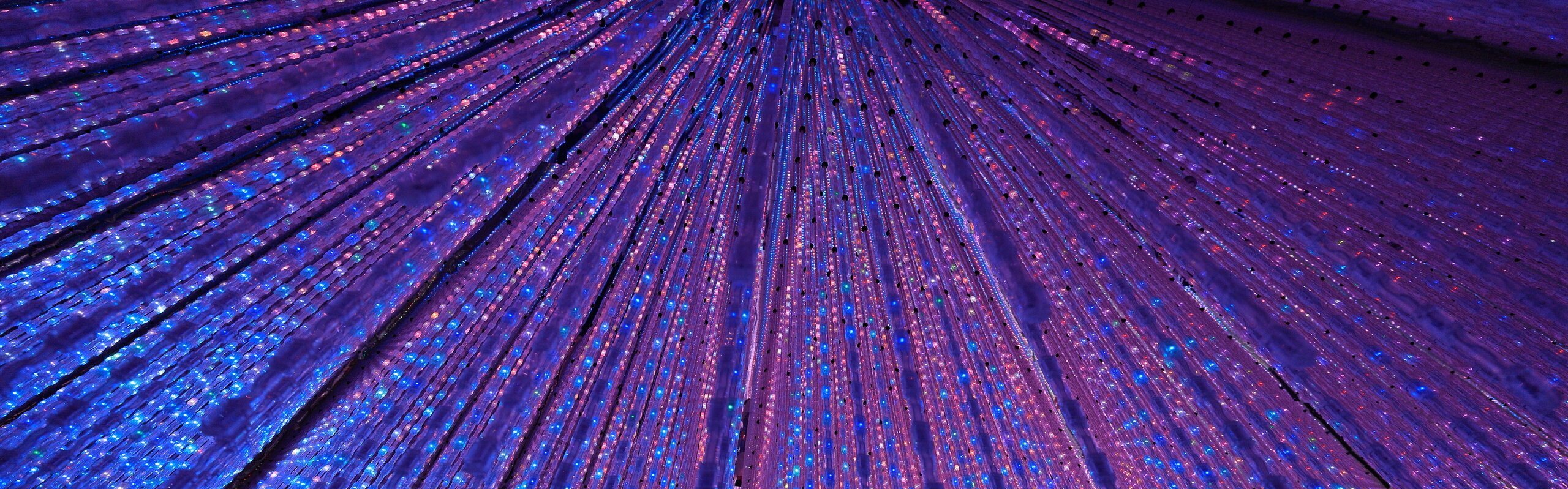 Guide to TeamLab Planets Tokyo: Highlights & Essential Tips