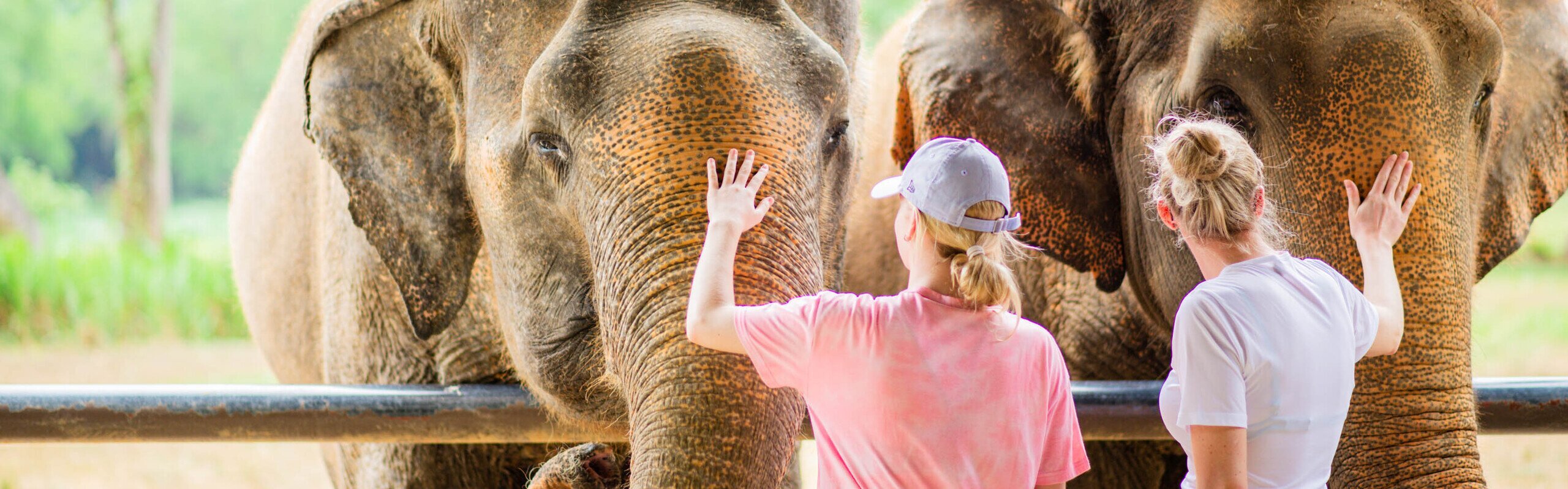 Unlock Perks with Highlights Travel Loyalty Program