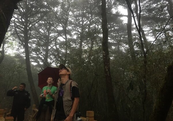 Organize staff and family to join in natural observation