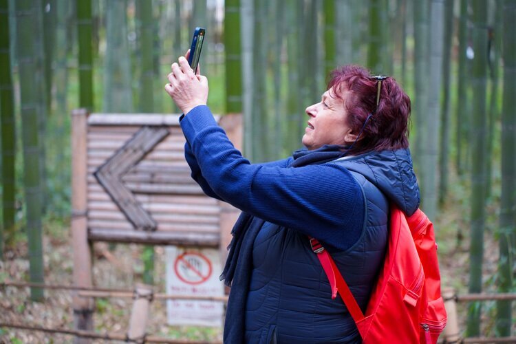 Arashiyama Bamboo Grove