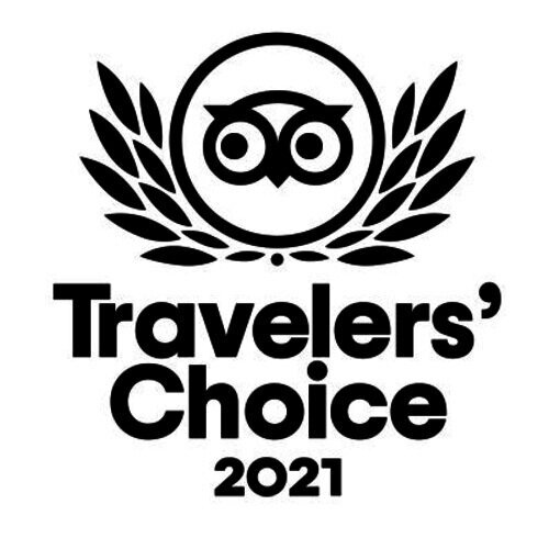 TA certificate of excellence 2021