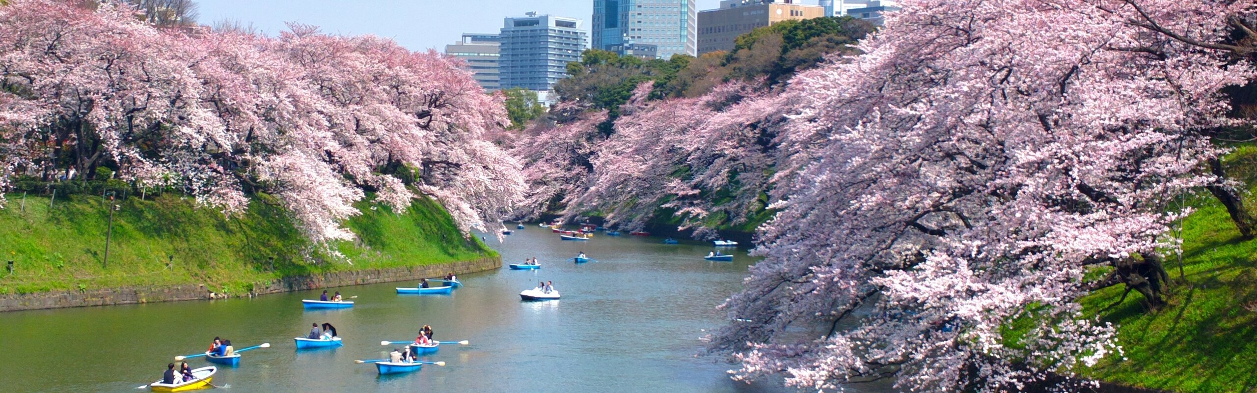 Visit Tokyo: Your Complete Travel Guide