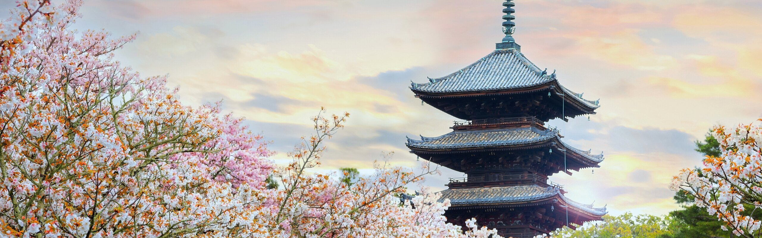 Kyoto in April 2025: Weather, Cherry Blossoms, and Top Experiences