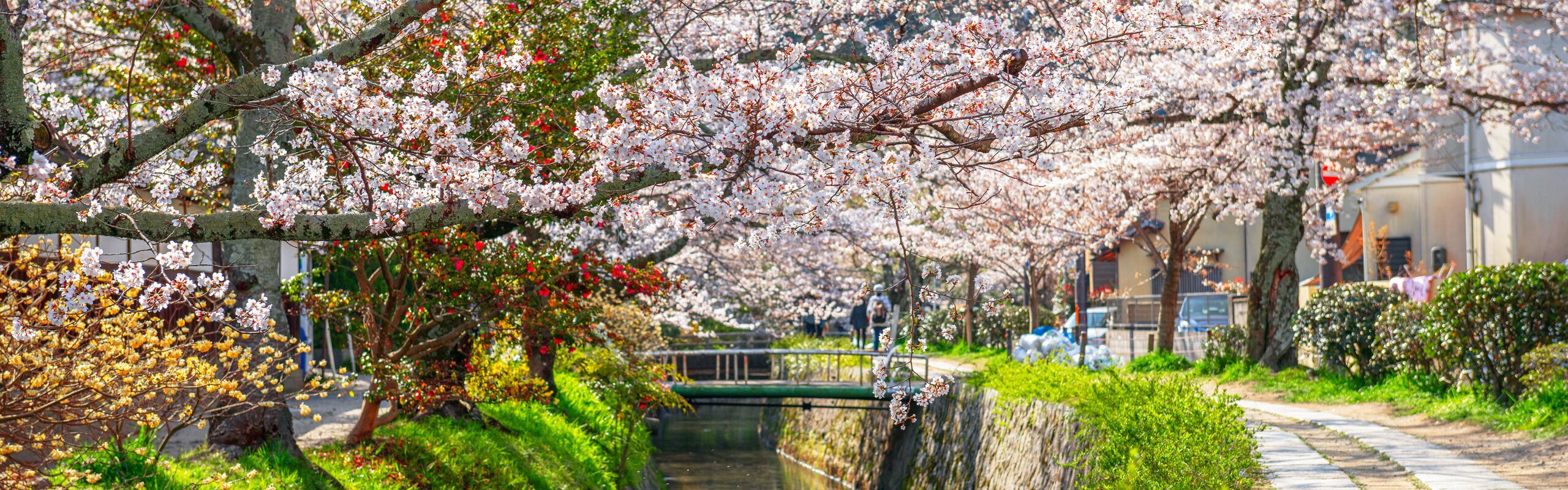 Kyoto in April 2025