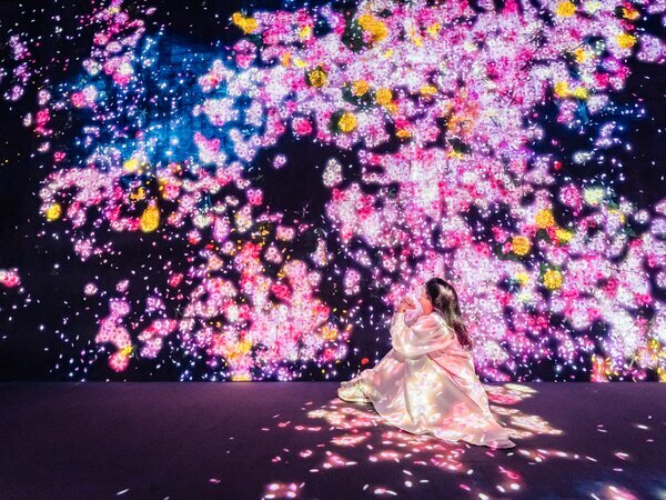teamLab Borderless