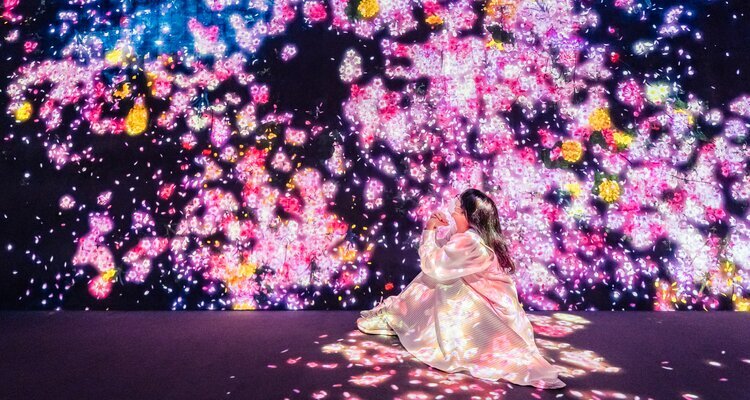 Teamlab Borderless