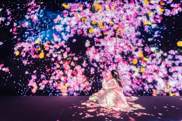 Teamlab Borderless