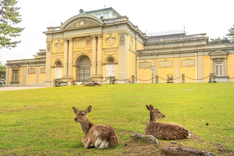 Nara National Museum