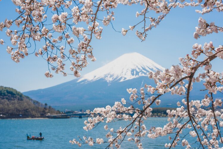 Mt Fuji viewed from the five Lakes