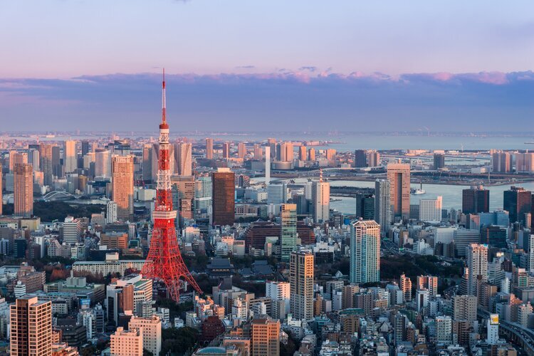 Tokyo city view from the Roppongi Hills