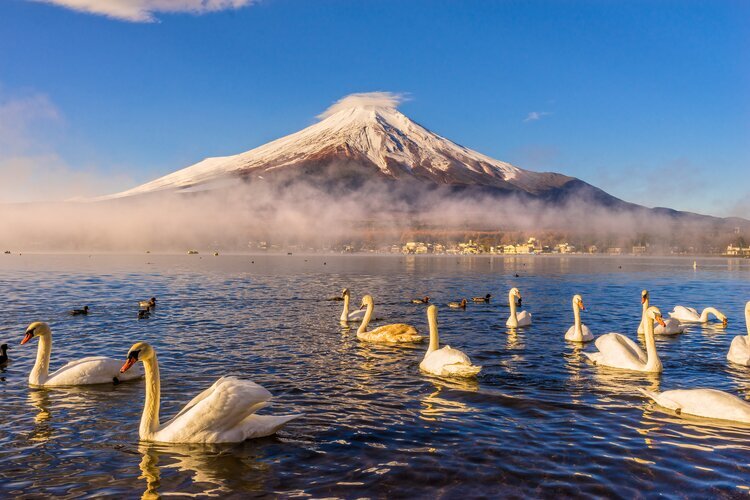 mt-fuji-travel-guide-tips-for-planning-a-trip-to-mt-fuji