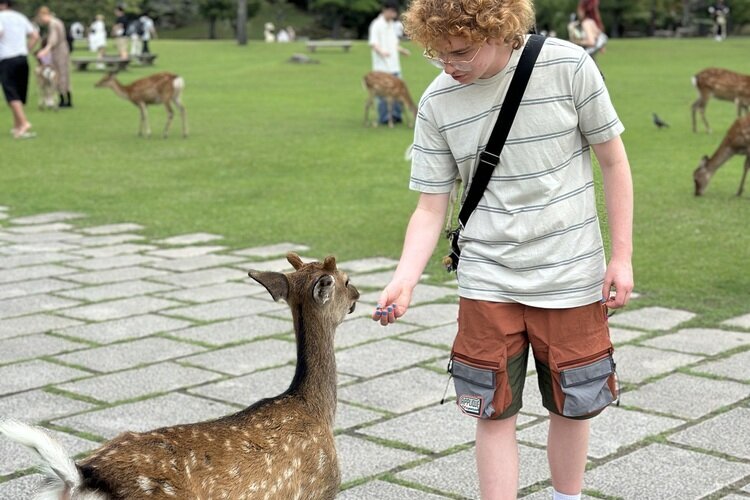 Our client in Nara