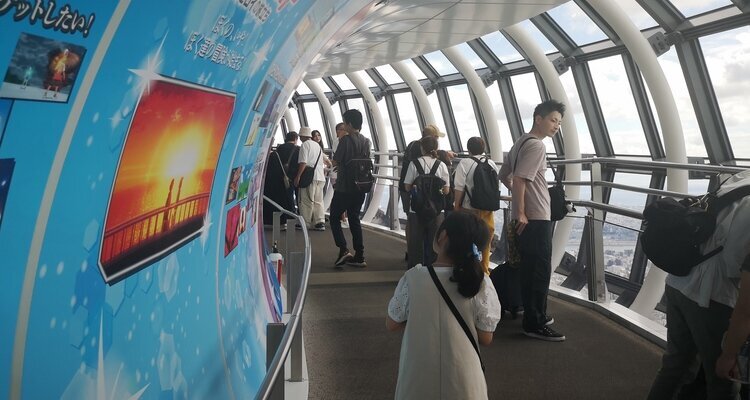 Sky Tree 445