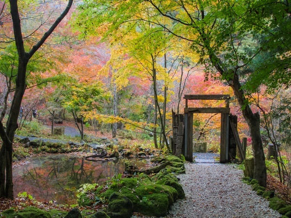 Kubota Itchiku Art Museum in Autumn