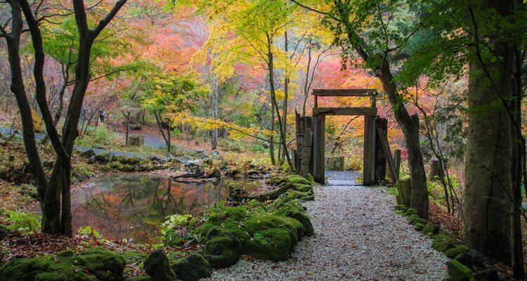 The garden of Itchiku Kubota Art Museum