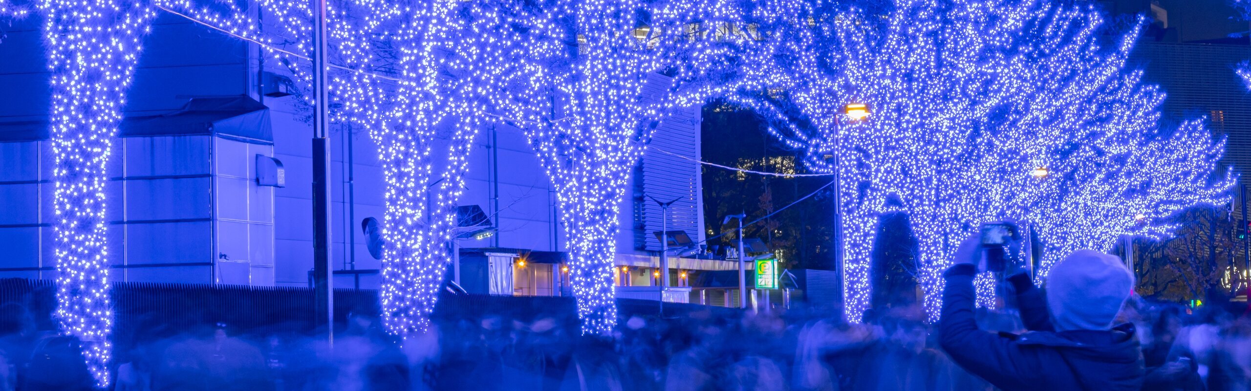 Tokyo Weather, Events, and Travel in February 
