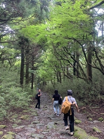Embrace the natural beauty of Hakone through gentle hikes