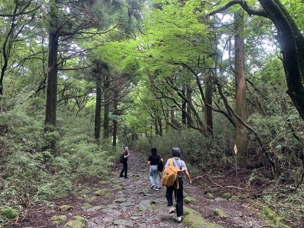The Old Tokaido Road