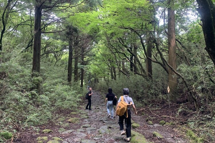 We were hiking at Hakone Hachiri