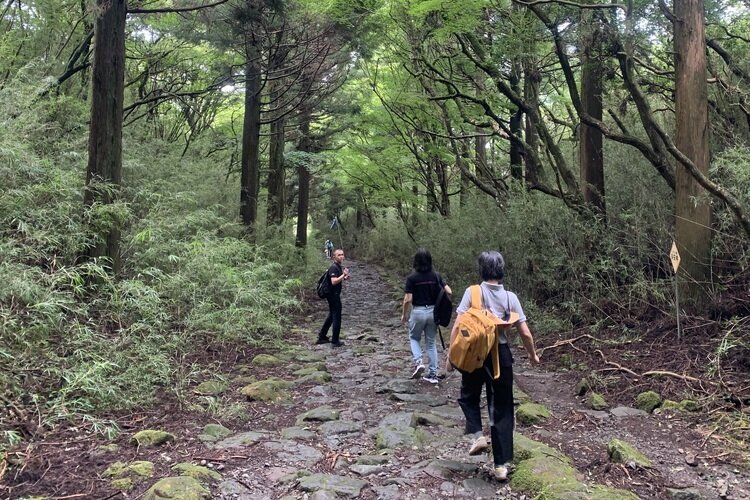 Old Tokaido - Hakone Hachiri Walking，Japan