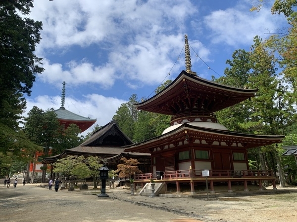 Elevated Precinct in Koyasan