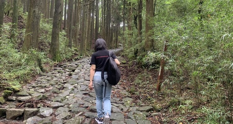 Old Tokaido - Hakone Hachiri Walking，Japan
