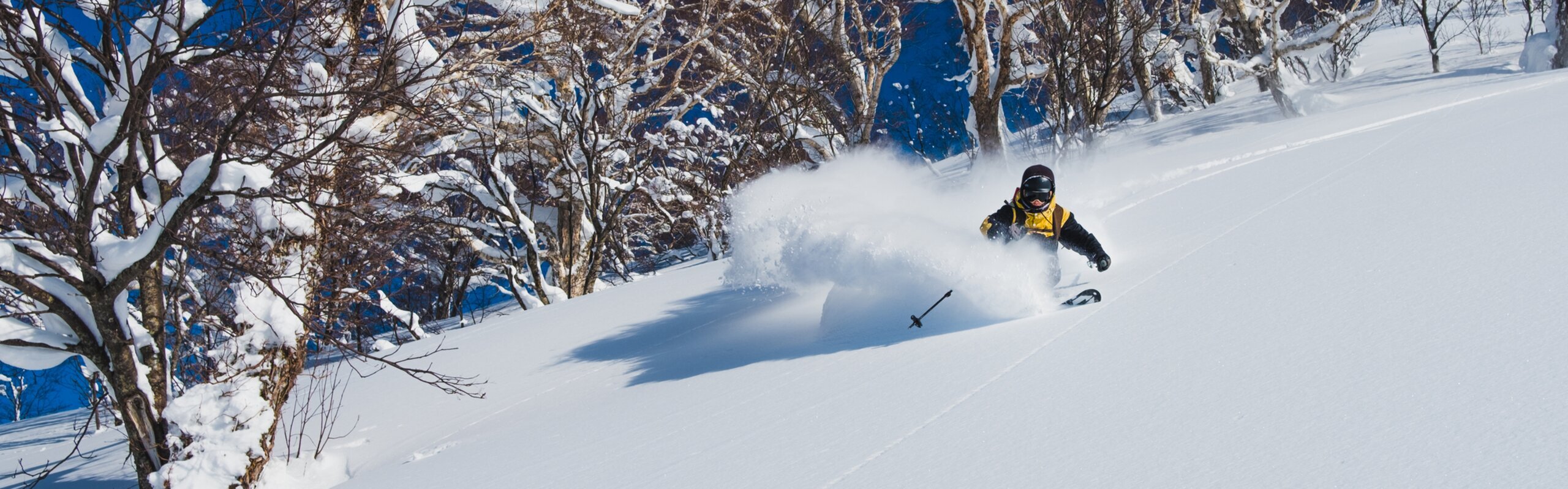 Where to Ski in Japan: 9 Best Ski Resorts & Selection Tips
