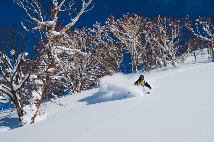 Skiing in Niseko, Hokkaido