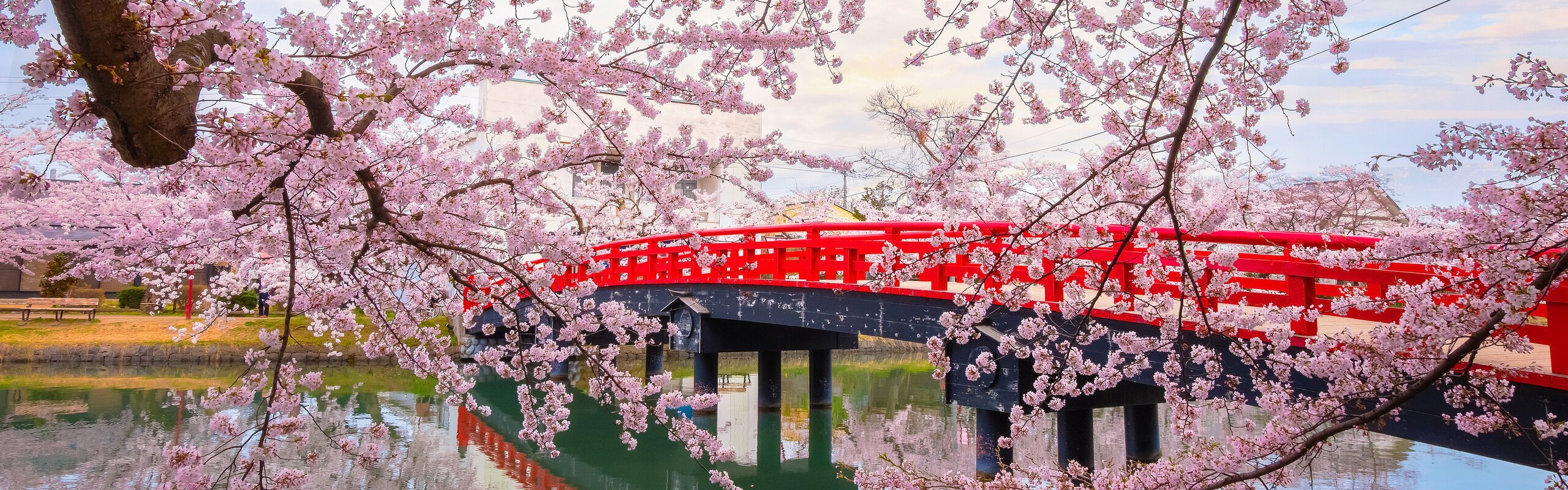 Japan's Golden Week 2025/2026  - Travel Tips for a Successful Trip