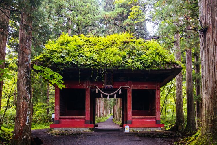 Togakushi Shrine
