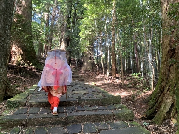 Kumano Kodo Trail from Daimonzaka to Nachi Taisha