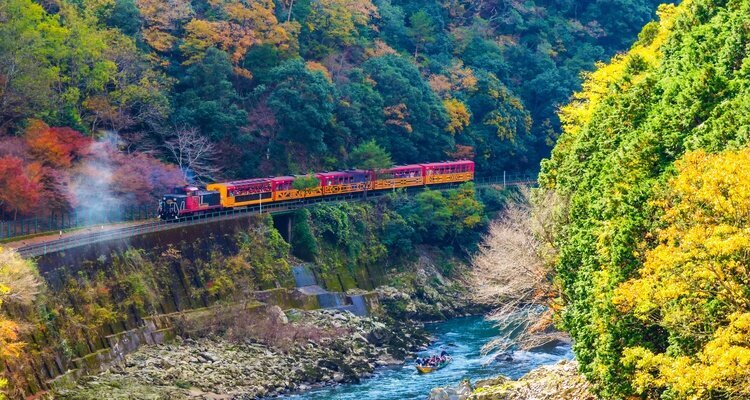 Arashiyama's famous bamboo groves