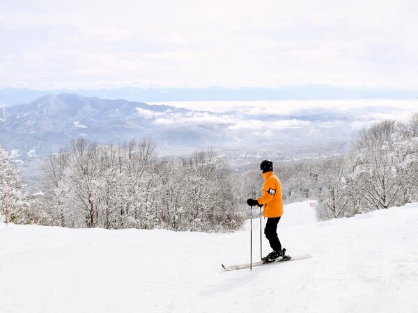 Nozawa Onsen Ski Resort