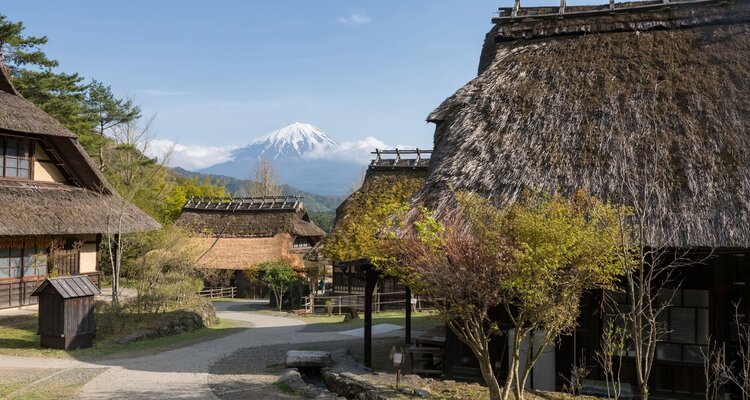 Saiko Iyashi no sato Nenba