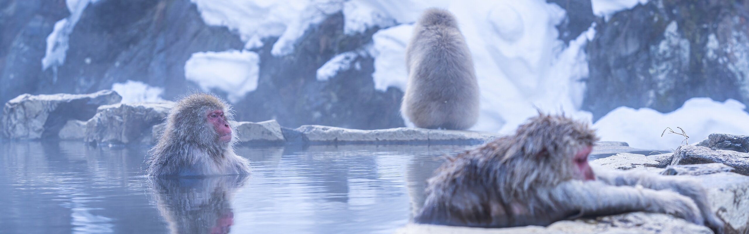 Your Travel Guide to Nagano: How to Plan a Trip 2026/2027