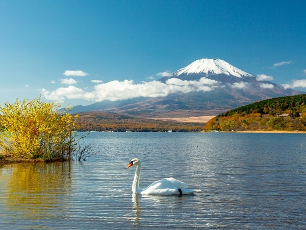 Lake Yamanakako