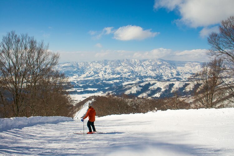 Ski in Japan