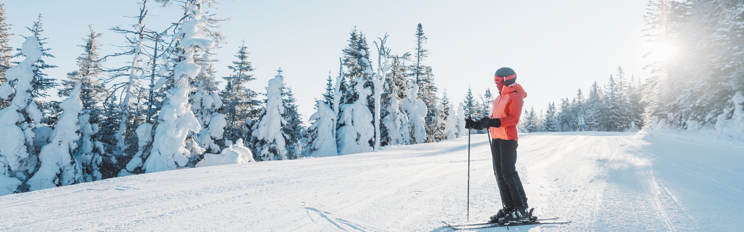 12-Day Japan Classics and Hakuba Skiing Tour