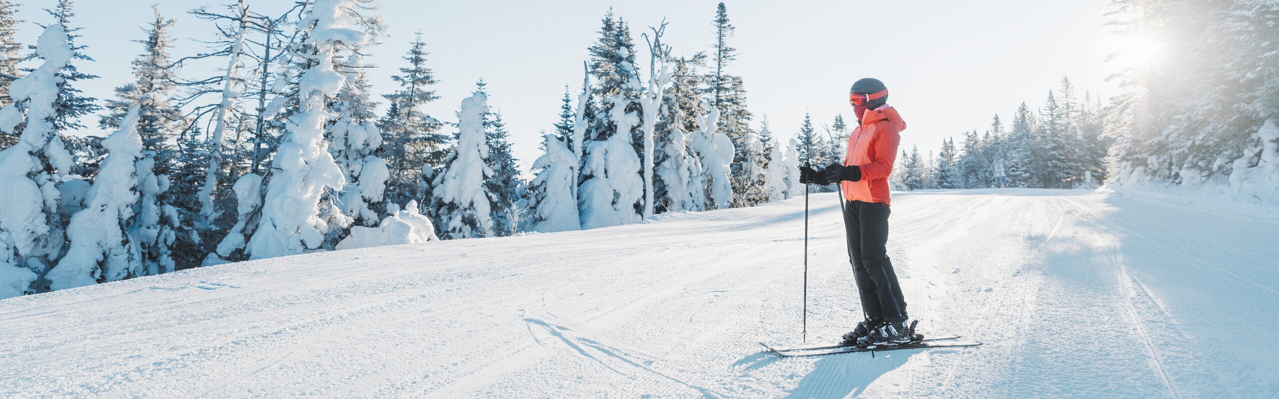 Which Is Best for Skiing in Japan: Hokkaido vs Nagano
