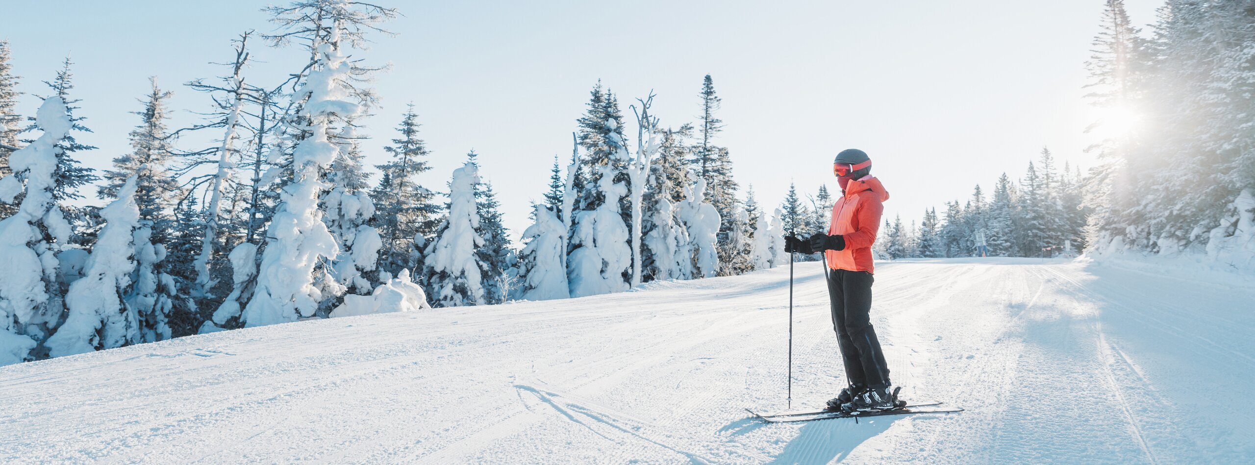 Japan Ski