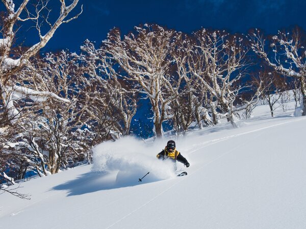 Enjoy Your Skiing in Hakuba